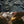 Load image into Gallery viewer, REWAXING