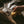 Load image into Gallery viewer, REWAXING